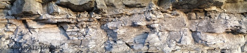 Flag Stone