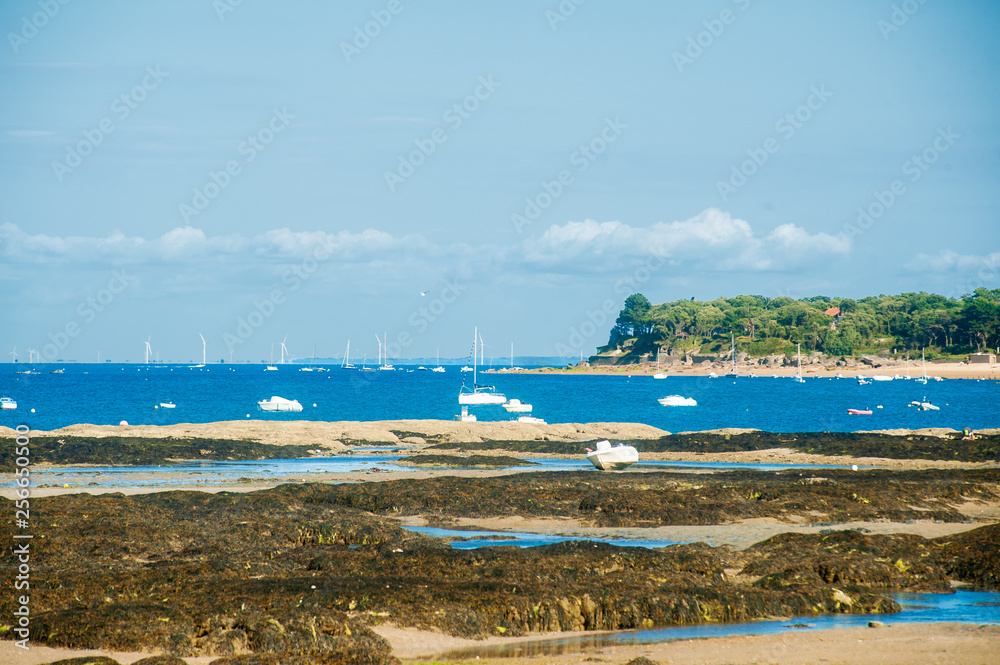 view on  bois de la Chaise from le petit vieil on the isle of noimoutier in summertime with some boats on the sea