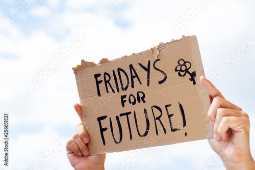 text fridays for future in a brown signboard photo