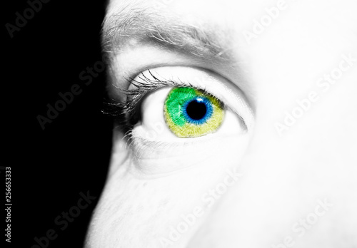 Wallpaper Mural A beautiful insightful look eye. Close up shot Torontodigital.ca