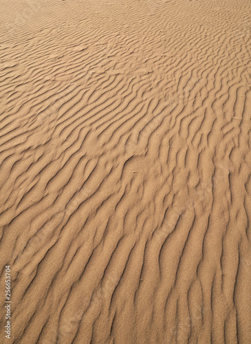 Dunes sand texture in Costa Dorada