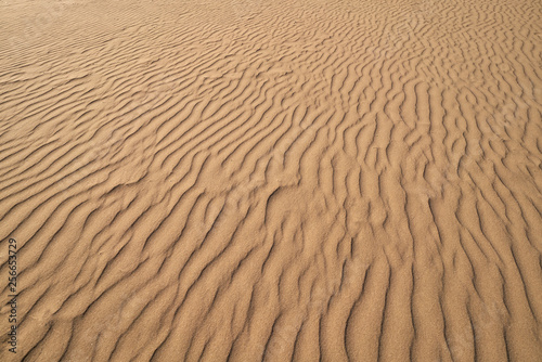 Dunes sand texture in Costa Dorada