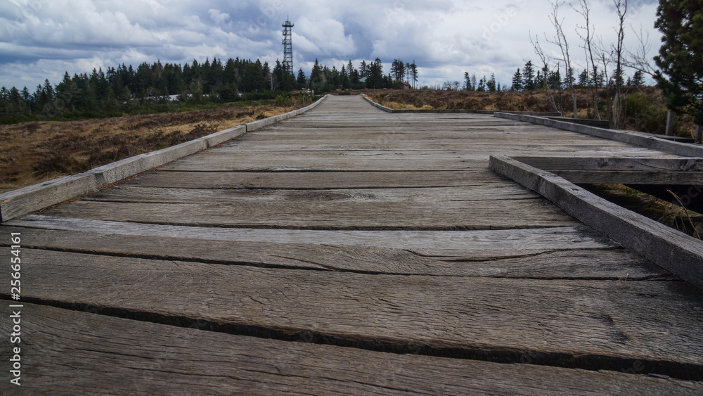 Fototapeta premium wooden planks crossing moor hornisgrinde