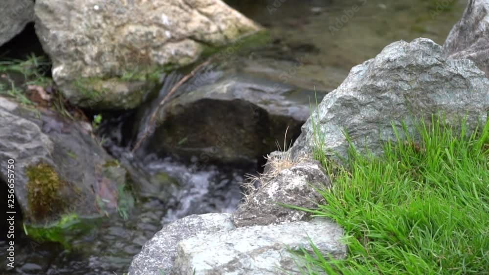 Slow motion Flowing water stream, water drops and reflection Slow motion Flowing water stream, water drops and reflection
