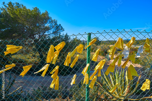 Yellow ribbon ties in Catalonia protest photo