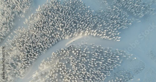 Wallpaper Mural Aerial drone view snowy mountains over white trees in winter  Torontodigital.ca