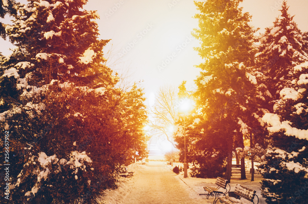 Beautiful snowy evening in the park. Amazing firs in the snow. Golden light bulbs. Romantic mood. Concept of the place you want to get in the winter. Magazine style color