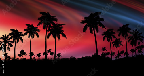 Night landscape with palm trees, against the backdrop of a neon sunset, stars. Silhouette coconut palm trees on beach at sunset. Vintage tone.