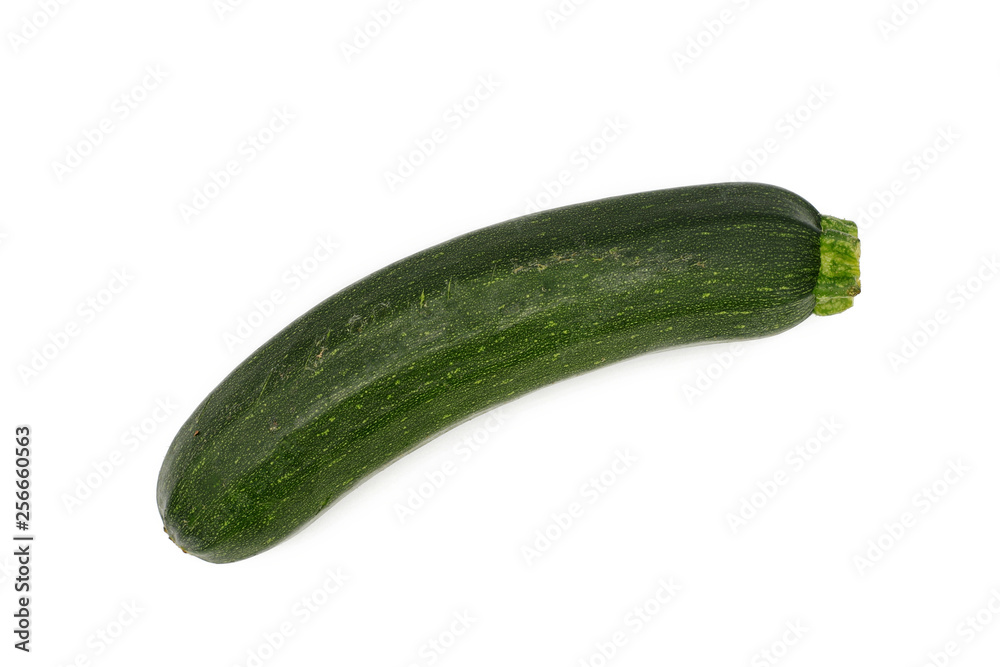 fresh whole zucchini isolated on white fresh whole zucchini isolated on white