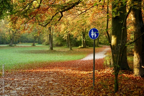 Englischer Garten München im Herbst
