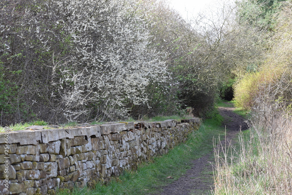 Path next to old stone wall