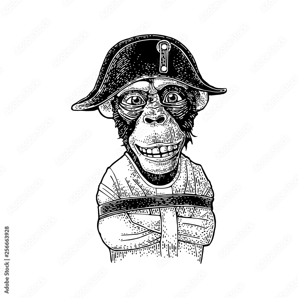 Monkey dressed in the french military uniform and cap. Vintage black  engraving vector de Stock | Adobe Stock