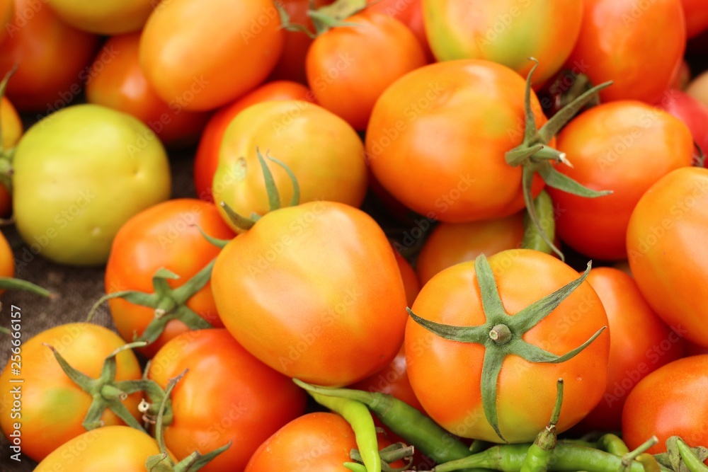 tomatoes at the market