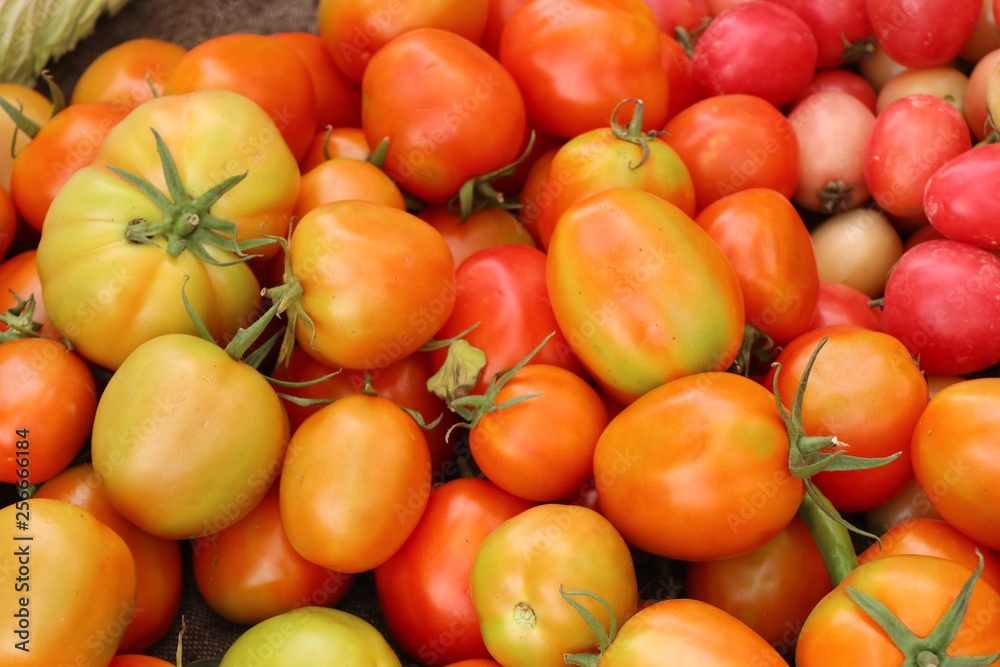 tomatoes at the market tomatoes at the market