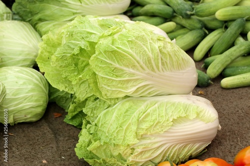 Chinese cabbage at market