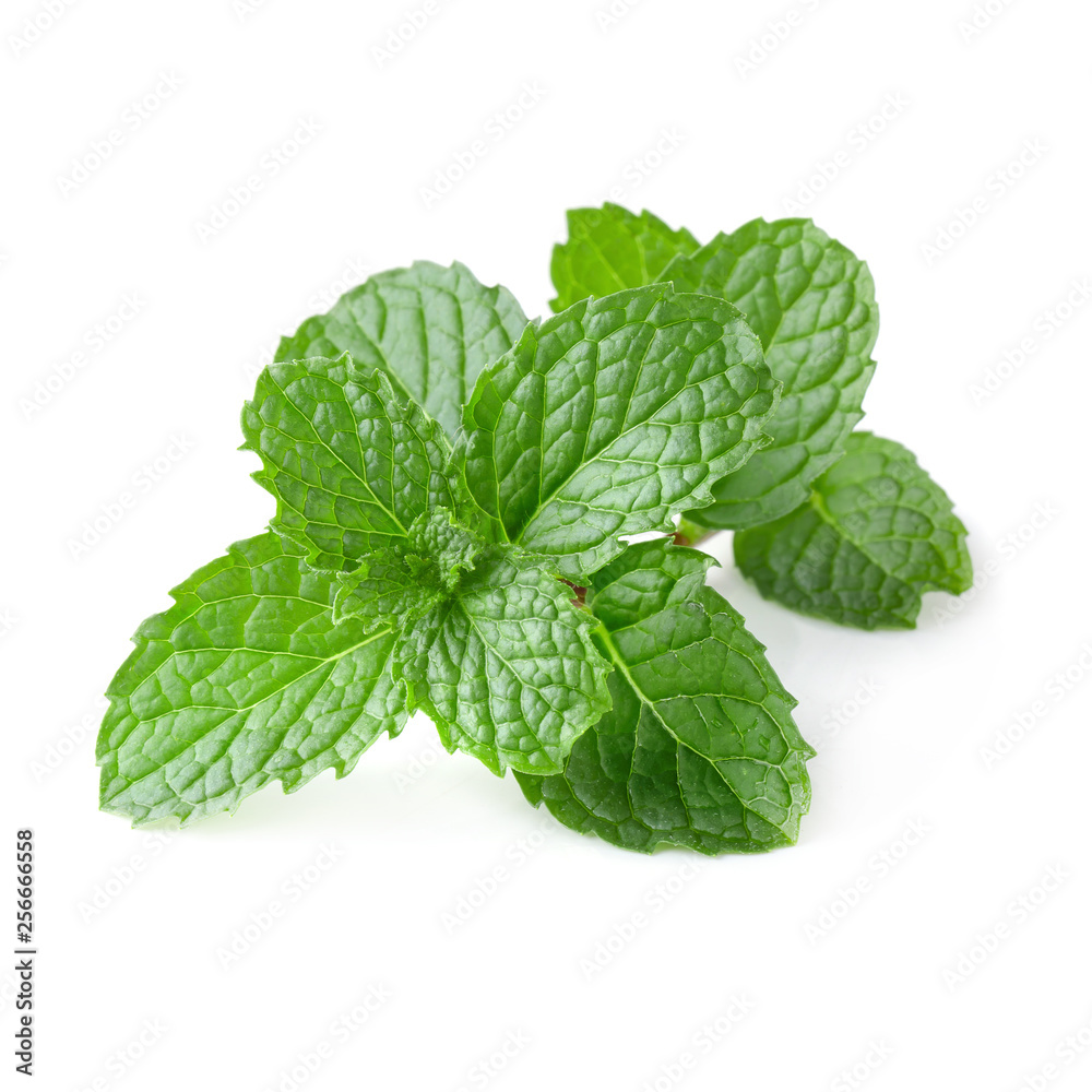 Mint leaves isolated over a white background. Mint leaves isolated over a white background.