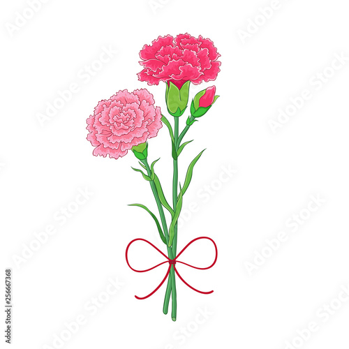 Bouquet of carnations tied with a bow