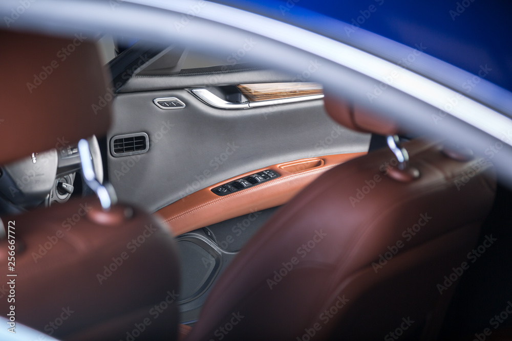 Leather trim car door panel