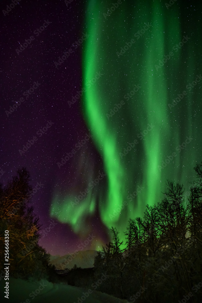 Aurora Borealis at the arctic circle in Norway Aurora Borealis at the arctic circle in Norway