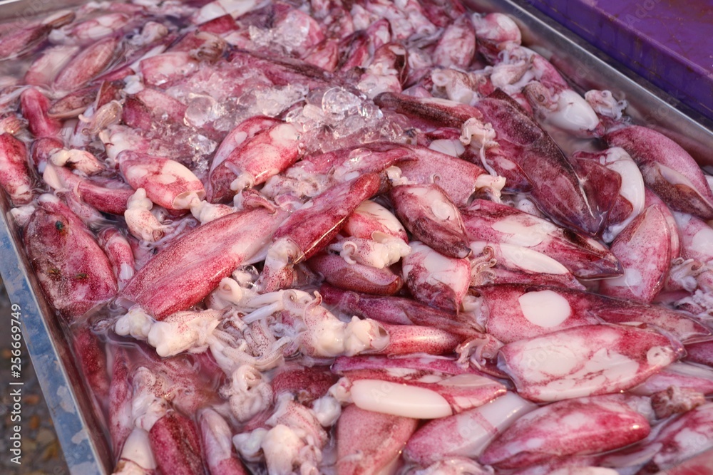 Fresh squid in market
