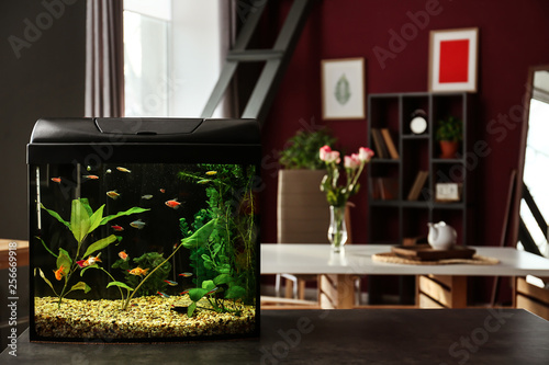 Beautiful aquarium on table...