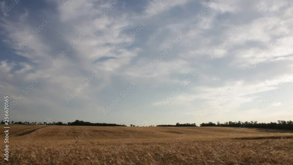 Typical time lapse over a wheat field in Hungary. Location : Pusztazámor, Hungary Typical time lapse over a wheat field in Hungary. Location : Pusztazámor, Hungary