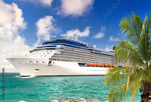 Luxury Cruise Ship Sailing from Port © NAN