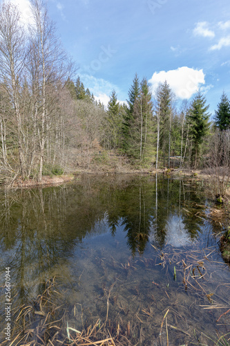 Feuchtgebiet Schwarzbachtal im Sauerland