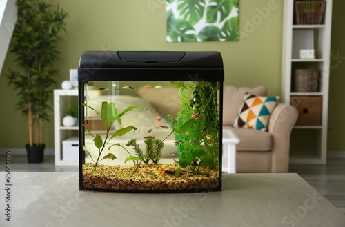 Photography Beautiful aquarium on table in room