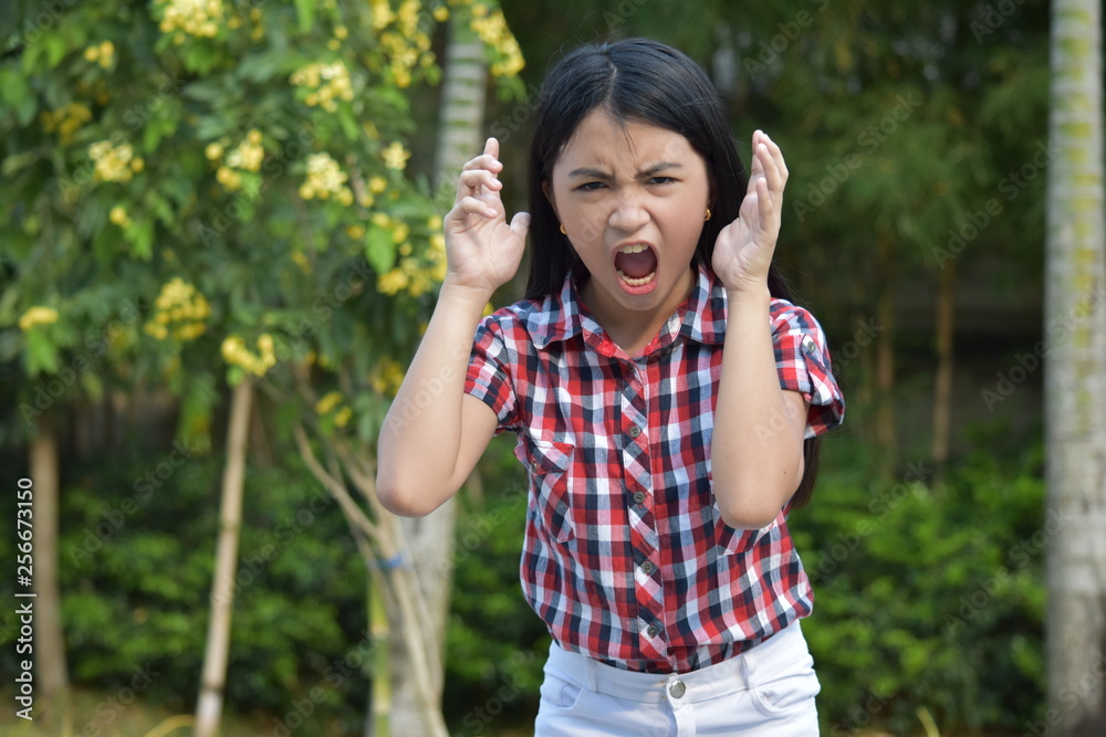 Youthful Asian Female And Anger