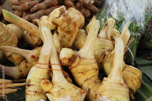 Fresh galangal for cooking in the market