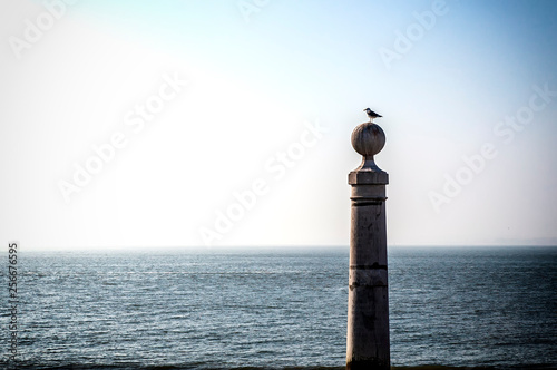 Tableau sur toile Gavota en el puerto