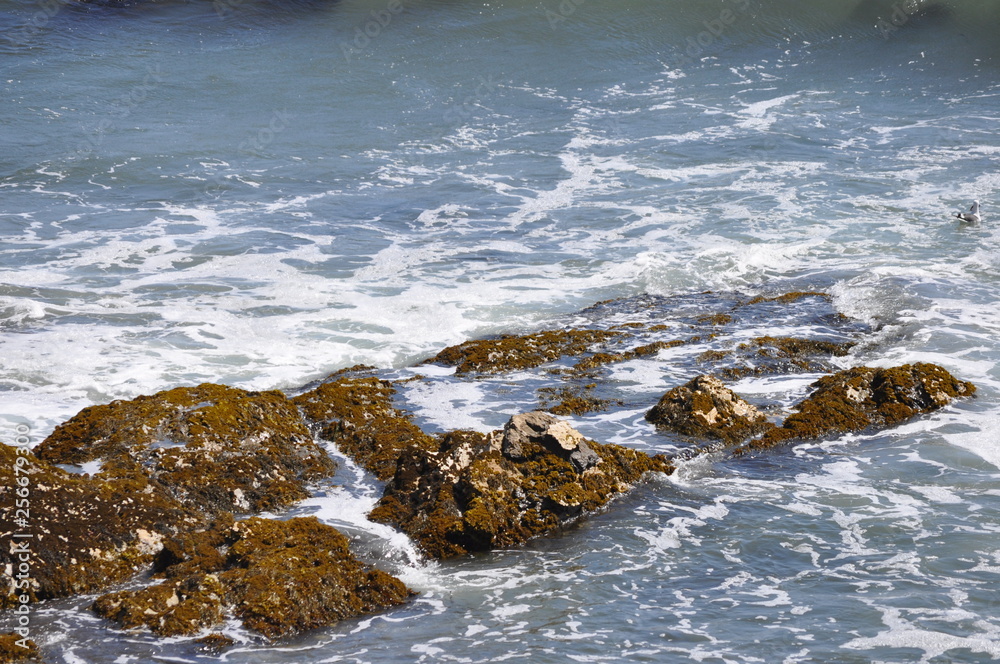 Obraz premium The tide comes in