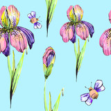 beautiful pink flowers ,bee, iris,on a white, hand drawn