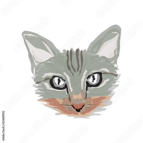 Watercolor Cat face illustration vector