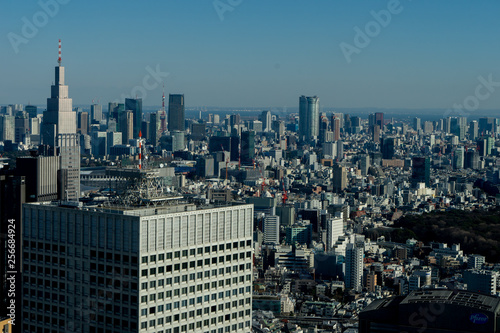 Japan cityscape bird eye view at noon © Sommart Sopon