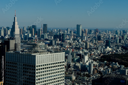 Japan cityscape bird eye view at noon