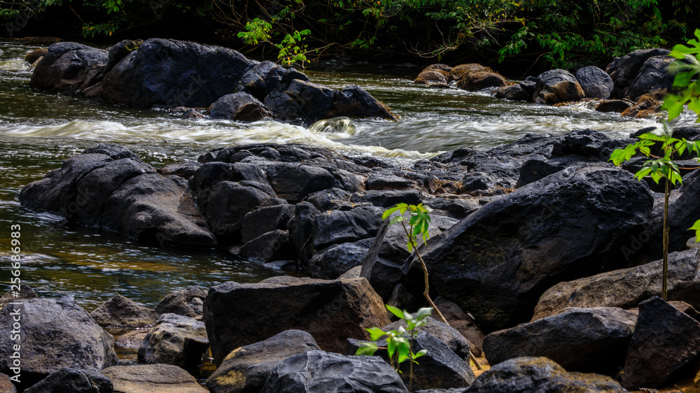 The beautiful nature of Suriname at the Kabalebo river The beautiful nature of Suriname at the Kabalebo river