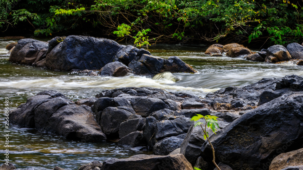The beautiful nature of Suriname at the Kabalebo river The beautiful nature of Suriname at the Kabalebo river