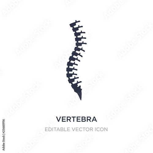 vertebra icon on white background. Simple element illustration from Medical concept.