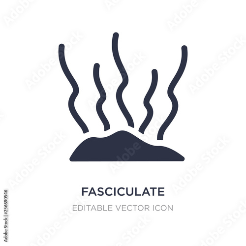 fasciculate icon on white background. Simple element illustration from Nature concept.