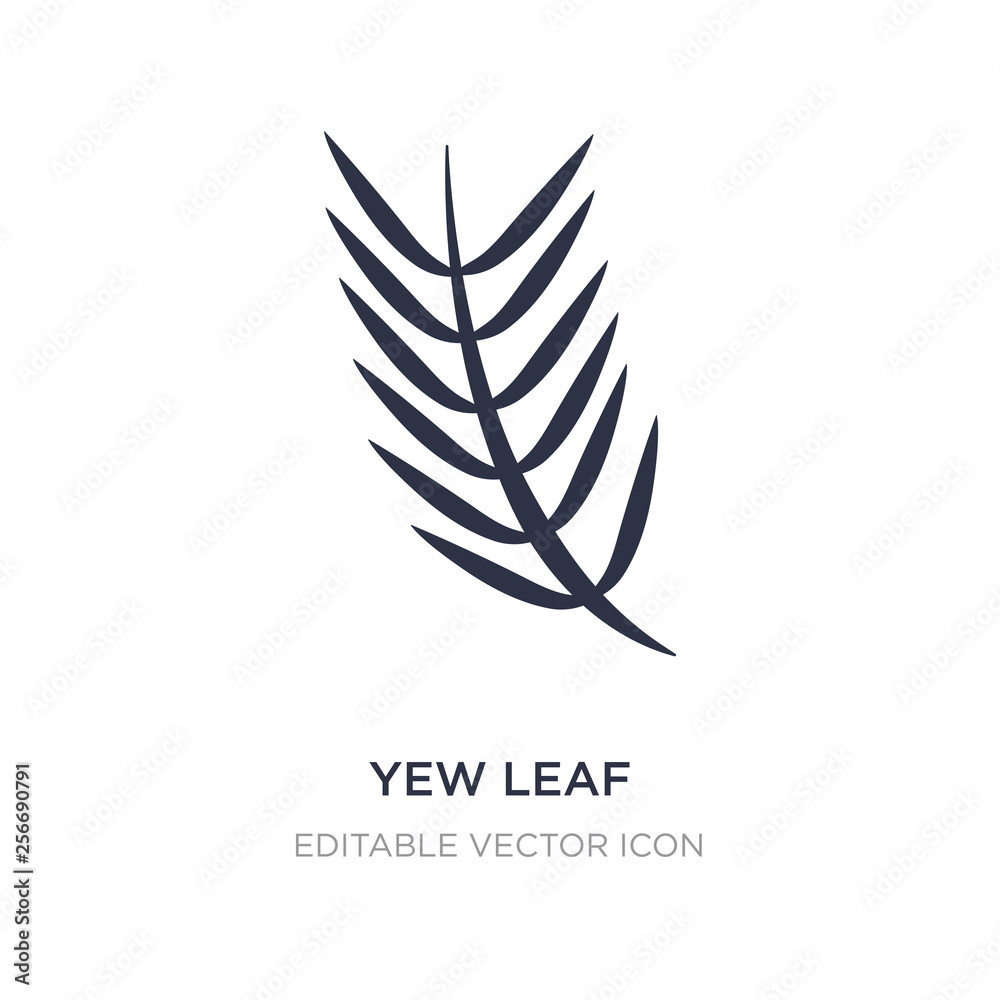 yew leaf icon on white background. Simple element illustration from Nature concept. yew leaf icon on white background. Simple element illustration from Nature concept.