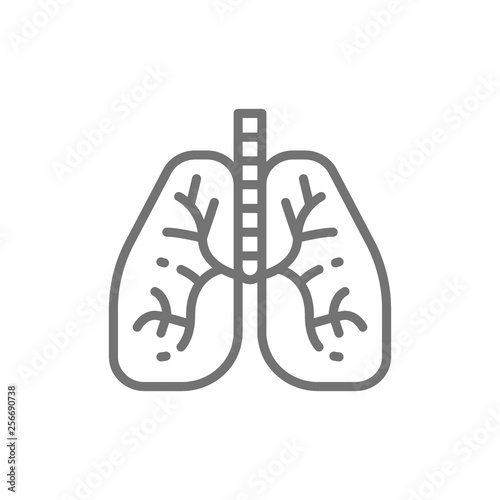 Lungs, human organ line icon.