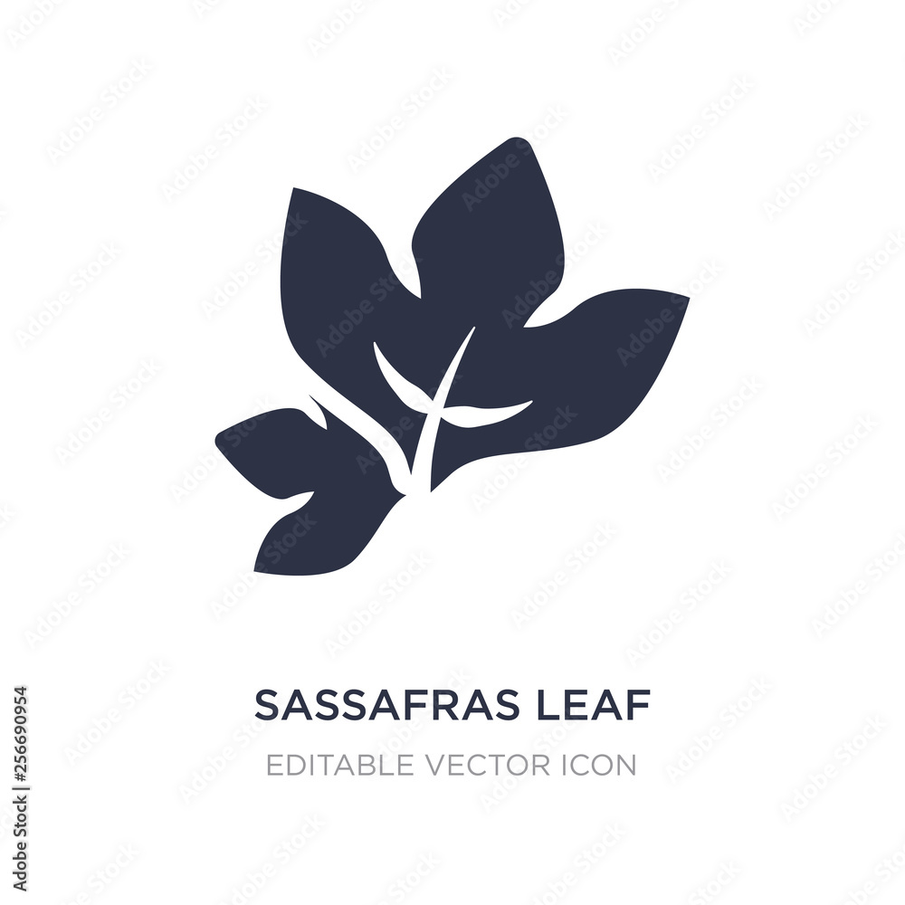 sassafras leaf icon on white background. Simple element illustration from Nature concept. sassafras leaf icon on white background. Simple element illustration from Nature concept.