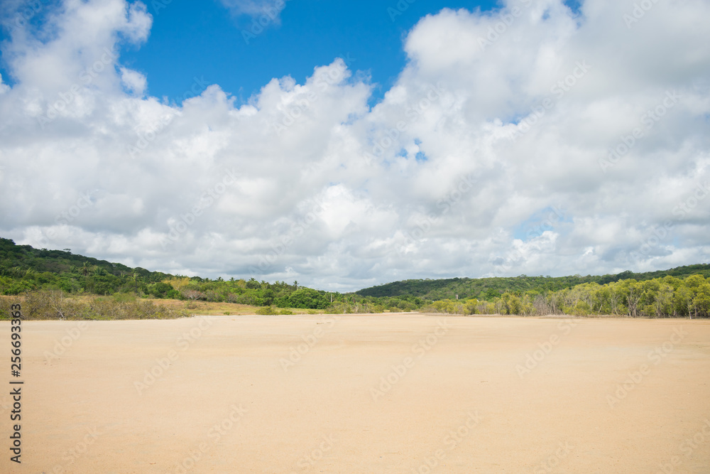 Mangroove area in the countryside of Itamaraca Island, Brazil