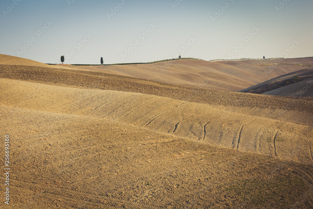 Fototapeta premium Empty rolling hills of Tuscany countryside in Val d'Orcia