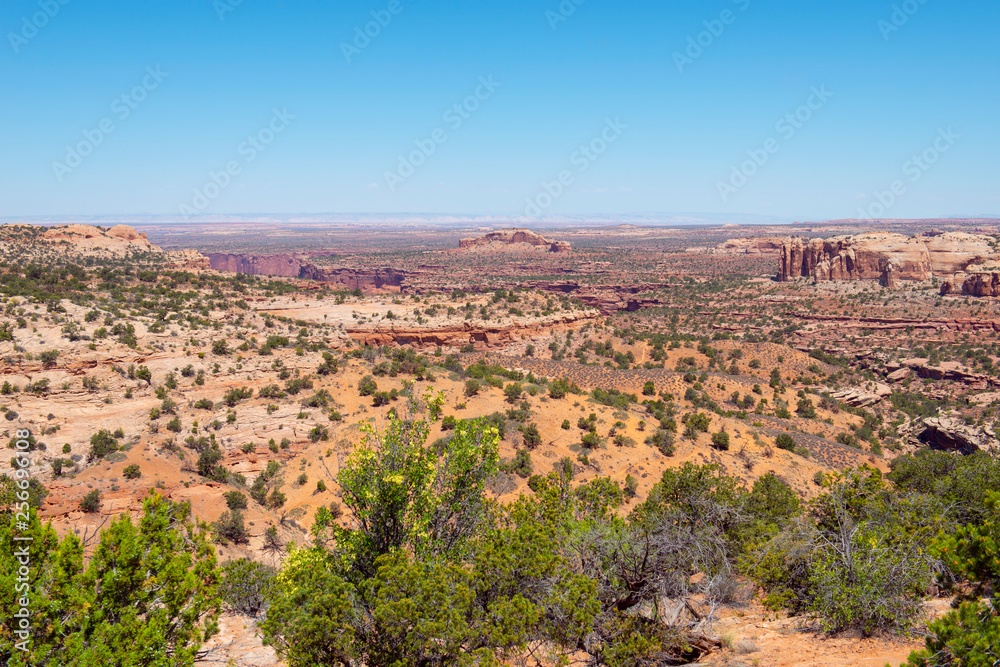 Canyon near Candlestick Tower Overlook in Canyonlands National Park, Moab, Utah, USA.