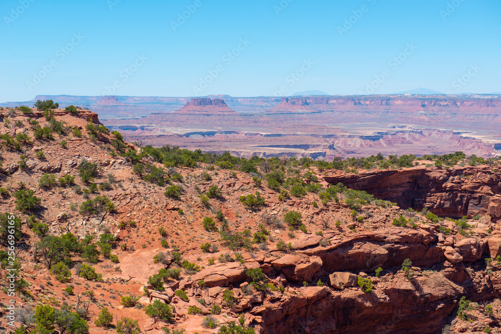 Canyon viewed from Candlestick Tower Overlook in Canyonlands National Park, Moab, Utah, USA.