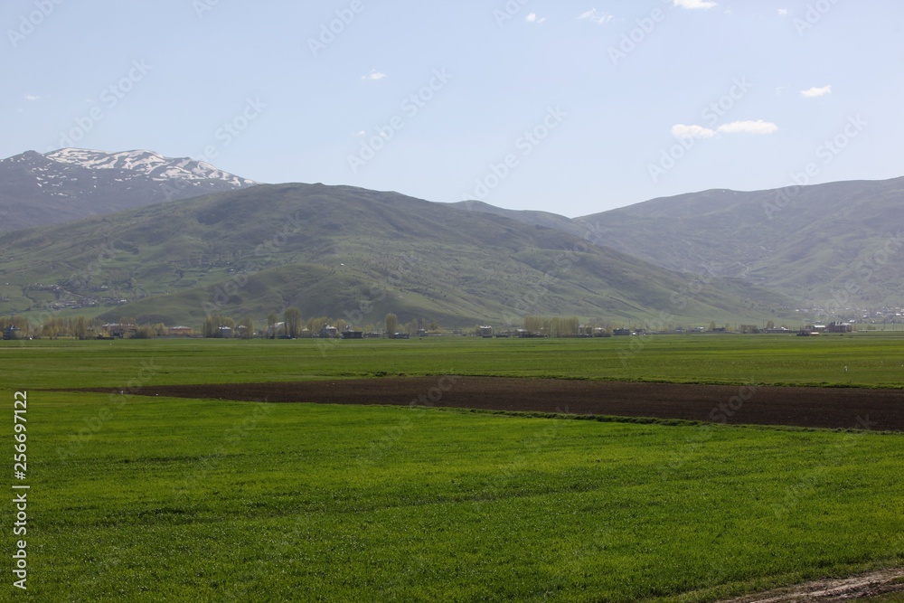 Sunny summer landscape with river.Green hills,fields and meadows