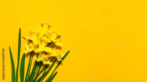 Foto Spring floral background